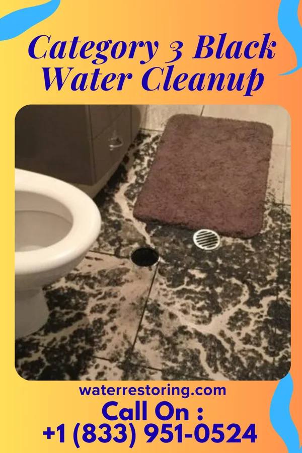 Category 3 Black Water Cleanup in Lawrenceburg, IN